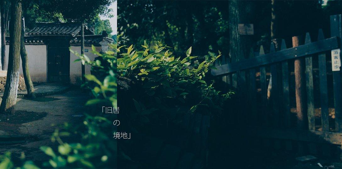 美丽的铅笔裙