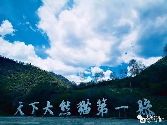 苹果菠萝笔3